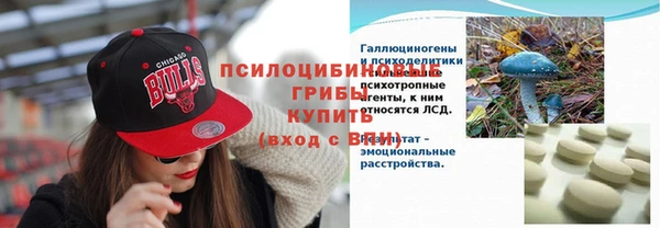 прущая мука Краснослободск