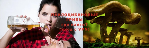 mdpv Краснотурьинск